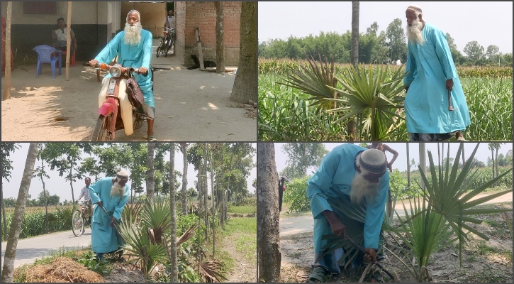 বঙ্গবন্ধুর স্মরণে ৫২ হাজার তালগাছ লাগিয়েছেন খোরশেদ